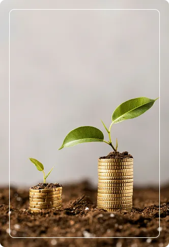 Pequenas plantas crescendo sobre pilhas de moedas no solo, representando o crescimento de capital e captação de investimentos.